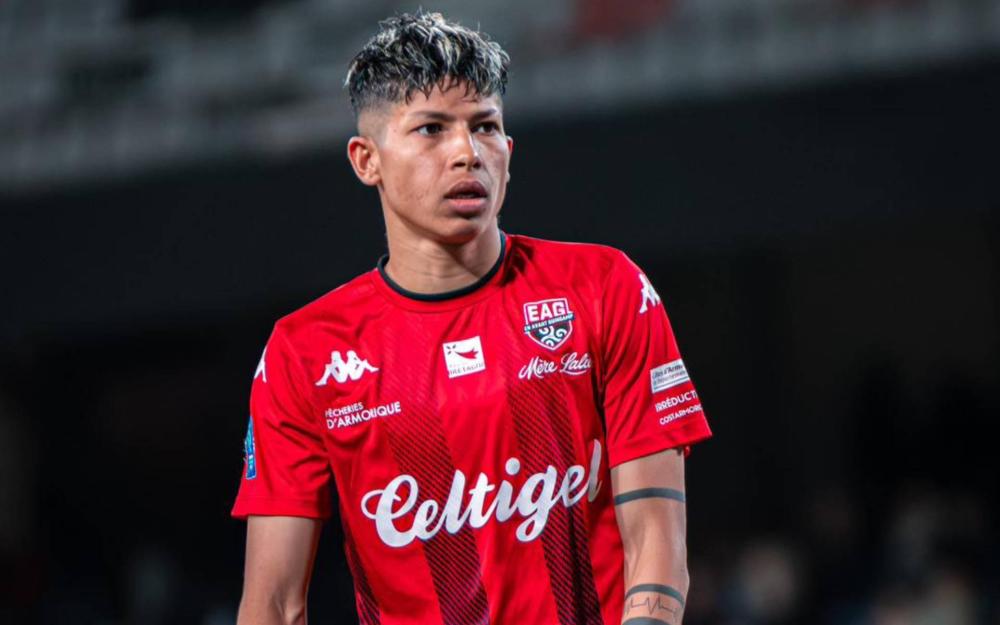 साम्बालाई घुडाको शल्यक्रियाका लागि एक दिनमै जुट्यो १ करोड ४५ लाख