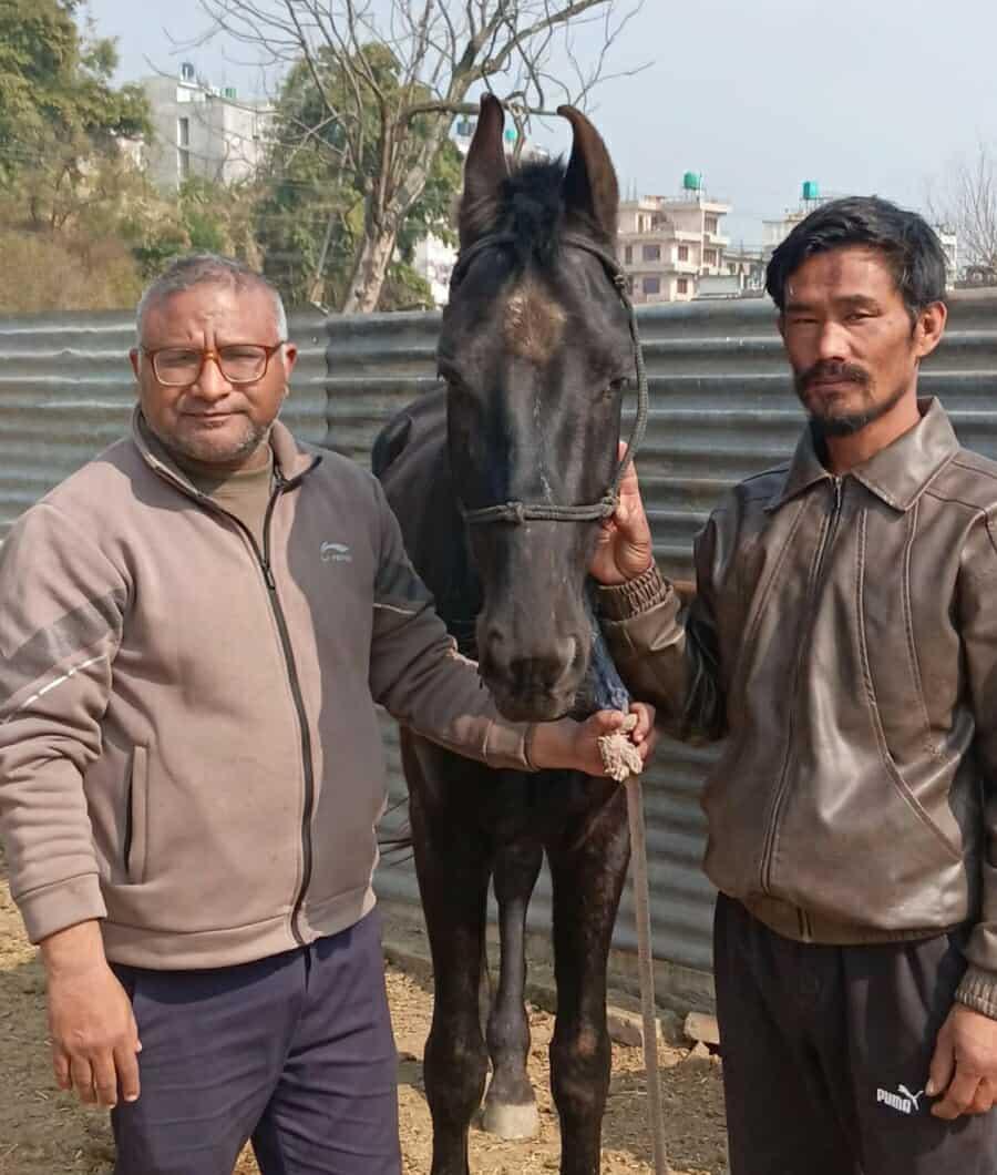सृजना सूत्रले कलाकारहरूका लागि घोडचडी तालिम आयोजना गर्दै