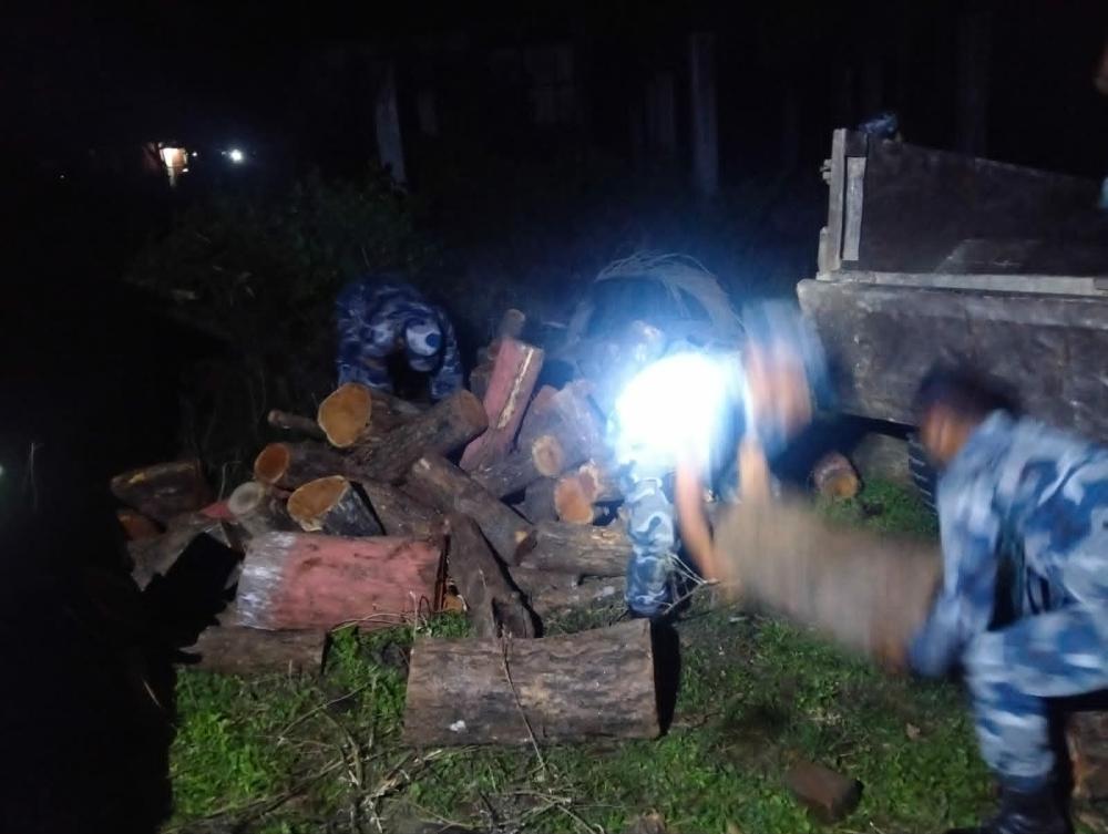 झापा र सर्लाहीबाट सशस्त्र प्रहरीद्धारा ८ लाख भन्दा बढी मुल्यको काठ बरामद