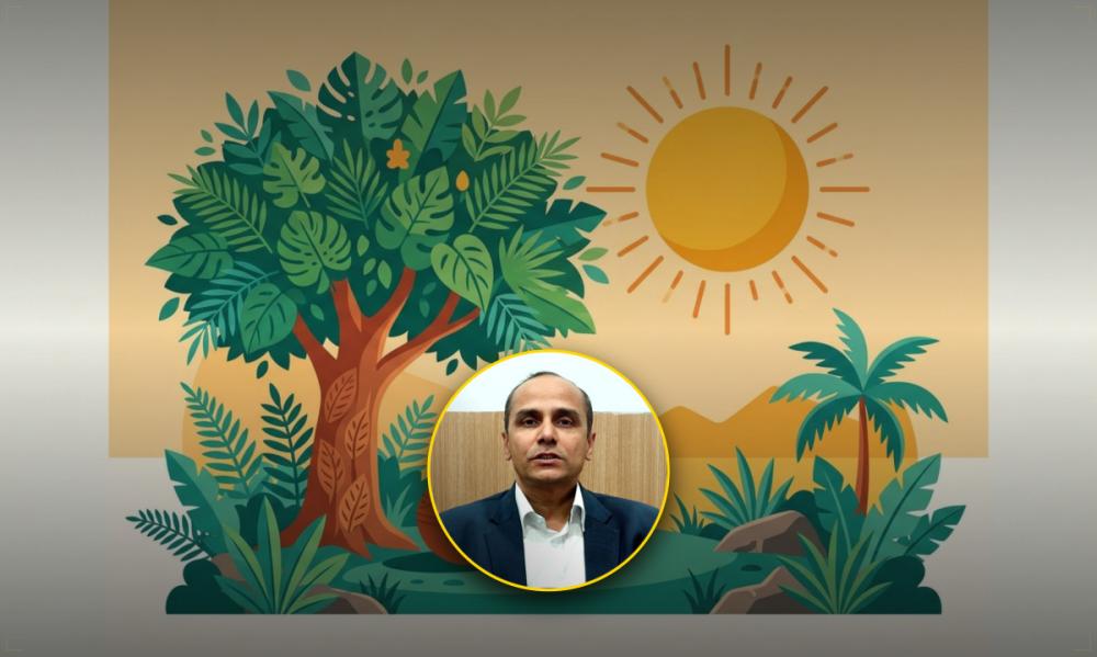 जलवायु परिवर्तन र सहरीकरणले बढायो लू को जोखिम; यस्ता छन् बच्ने उपाय