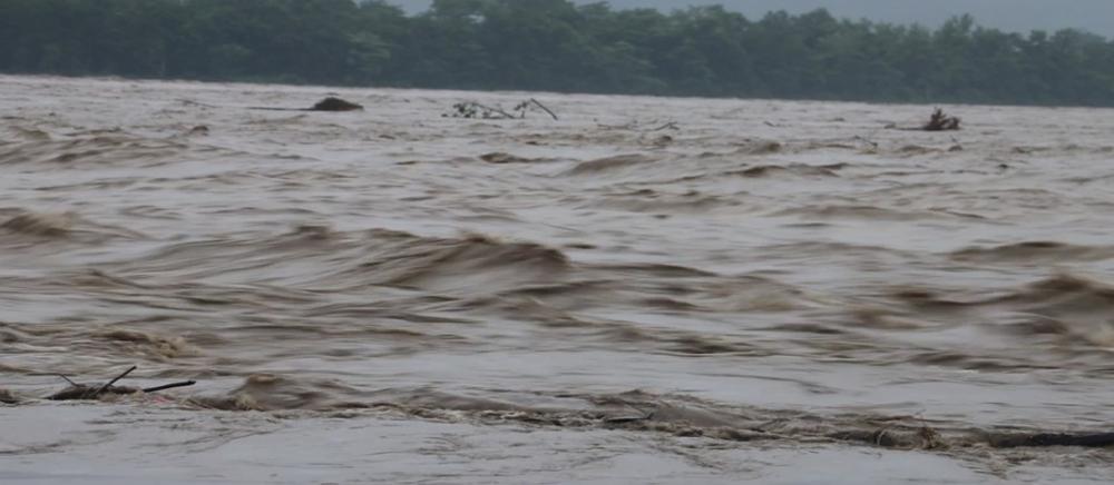 नारायणी नदीमा बाढीको भीषण रूपः खतराको तह नाघेर ११ मिटर माथि, गोब्रेनी बस्ती जलमग्न हुँदै