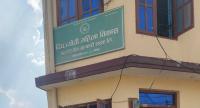 latest news