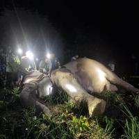 latest news